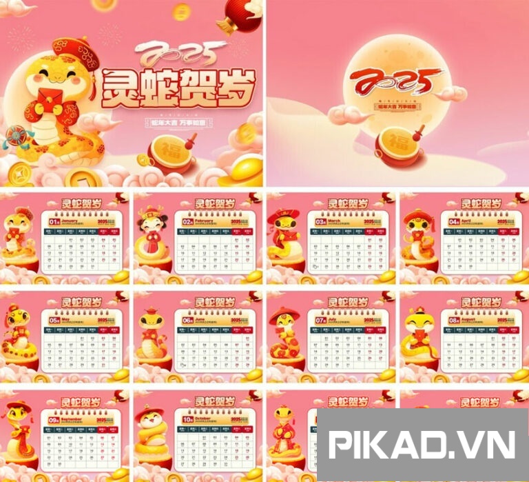 1-24091P03221